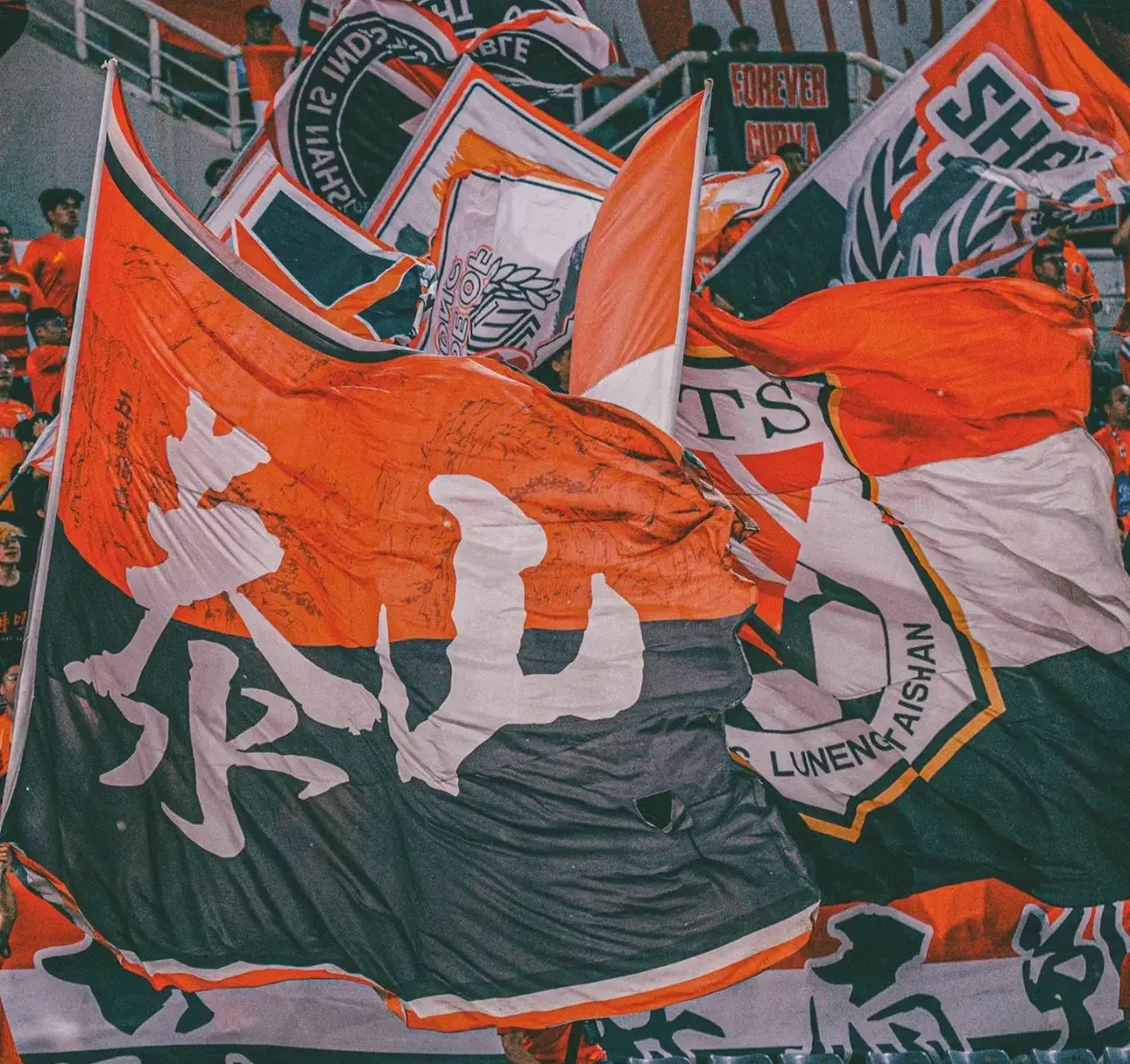 于球迷忠诚
