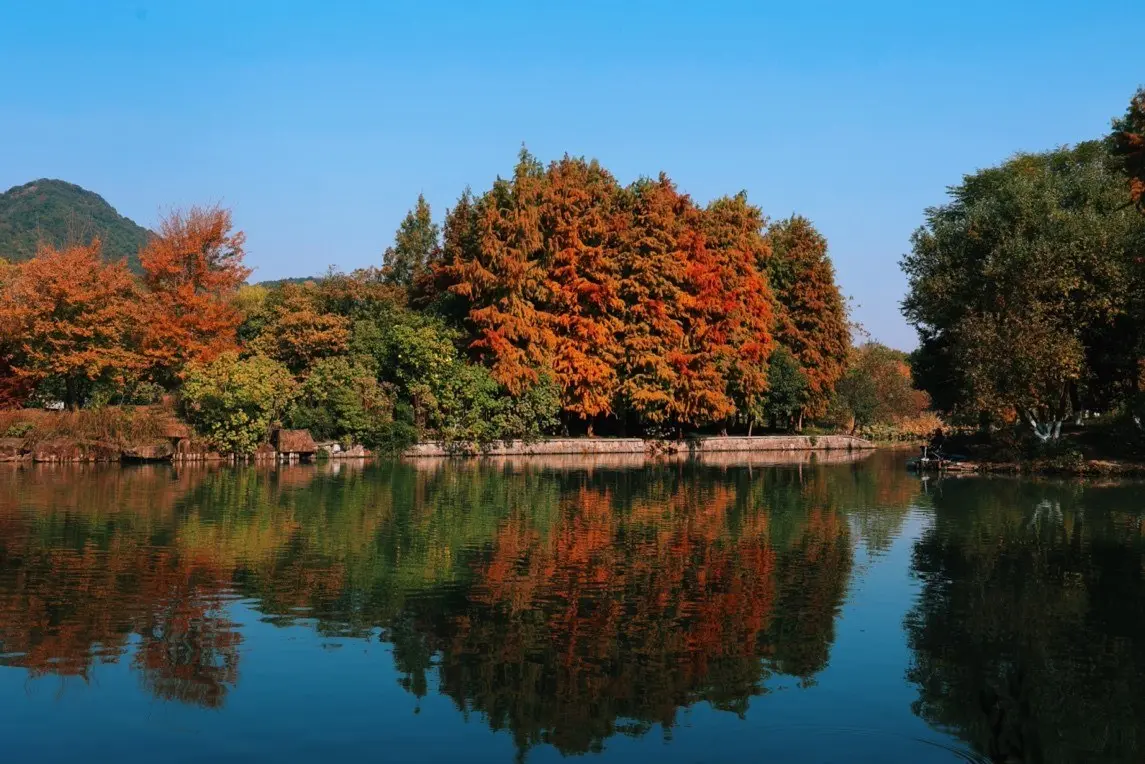 孵化赛事品, 成长注入新, img 孵化赛事品, 成长注入新, img