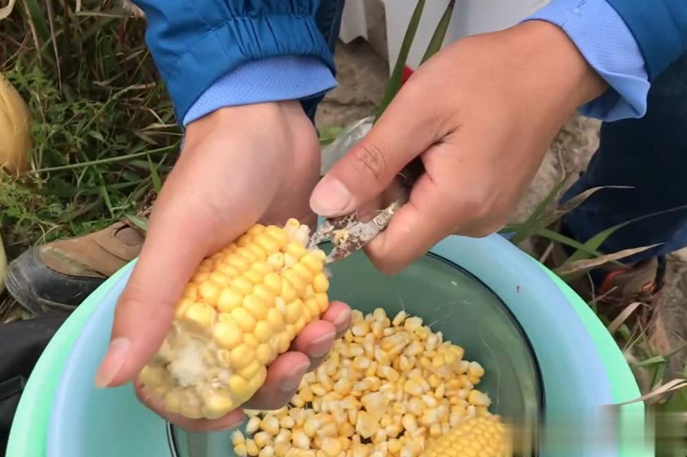 窝也没口, 然的原则, 种食物