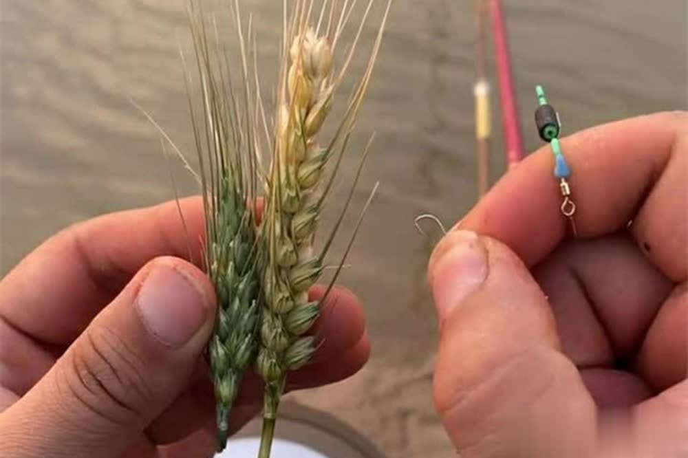 要素, 往更好一些